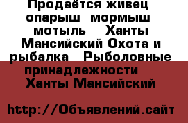 Продаётся живец, опарыш, мормыш, мотыль  - Ханты-Мансийский Охота и рыбалка » Рыболовные принадлежности   . Ханты-Мансийский